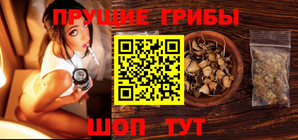 Гатчина  Галлюциногенные грибы мухоморы  Вход с VPN  Псилоцибиновые грибы мухоморы 