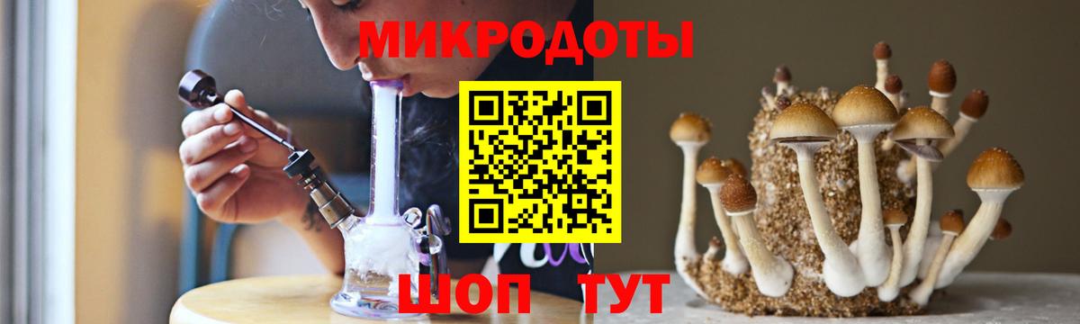Псилоцибиновые грибы Magic Shrooms Гатчина